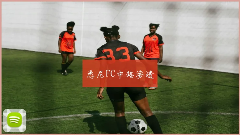 悉尼FC中路渗透
