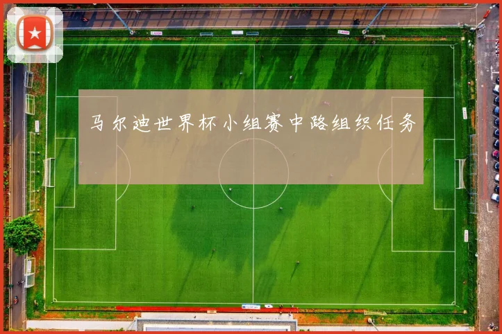 马尔迪世界杯小组赛中路组织任务