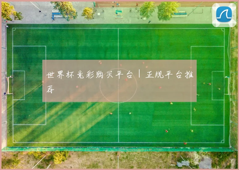 世界杯竞彩购买平台｜正规平台推荐