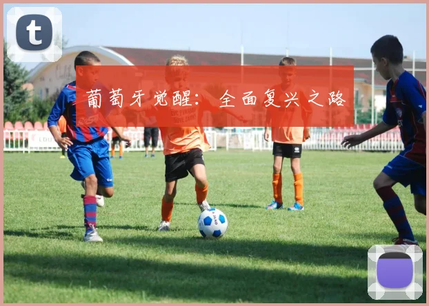 葡萄牙觉醒：全面复兴之路