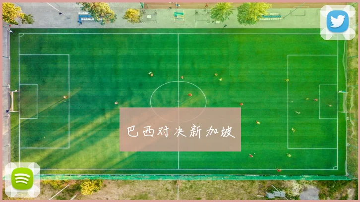 巴西对决新加坡