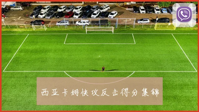 西亚卡姆快攻反击得分集锦