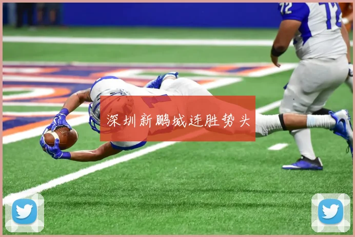 深圳新鹏城连胜势头