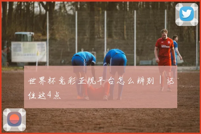 世界杯竞彩正规平台怎么辨别｜记住这4点