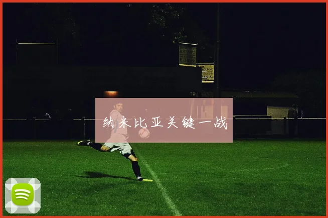 纳米比亚关键一战