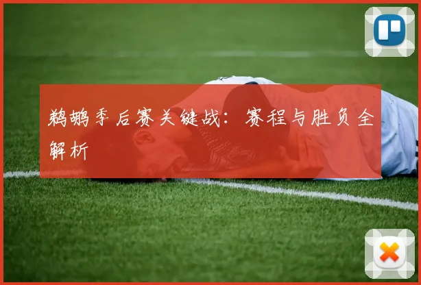 鹈鹕季后赛关键战：赛程与胜负全解析