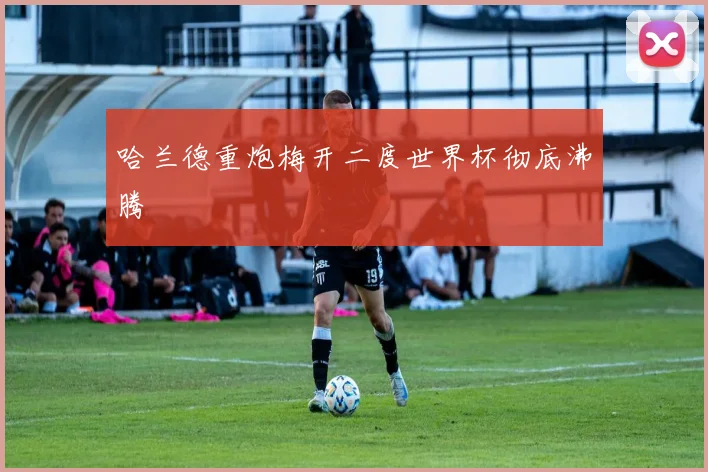 哈兰德重炮梅开二度世界杯彻底沸腾