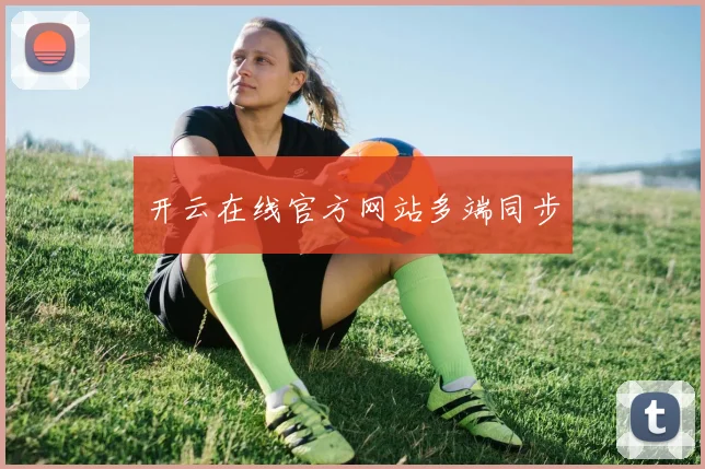 开云在线官方网站多端同步