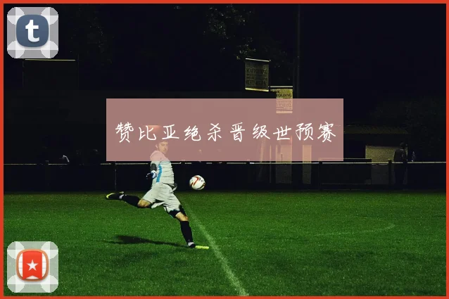 赞比亚绝杀晋级世预赛