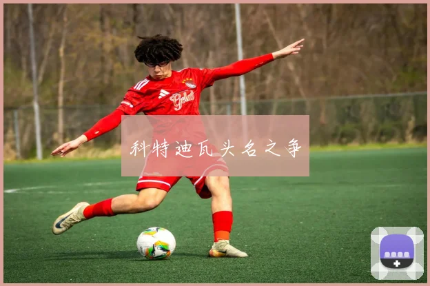科特迪瓦头名之争