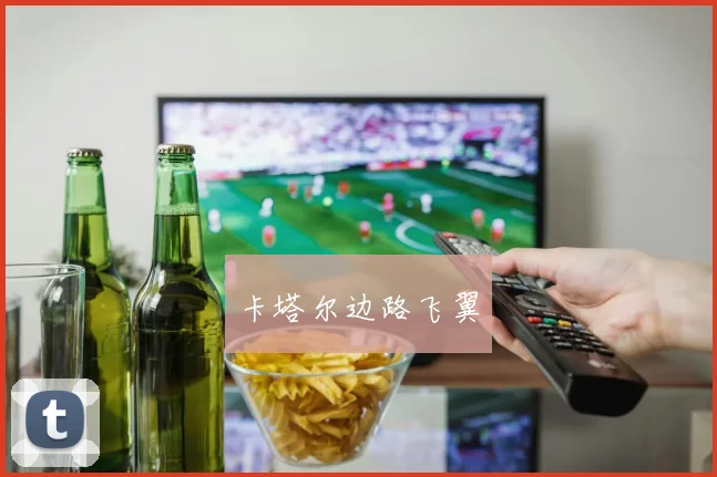卡塔尔边路飞翼