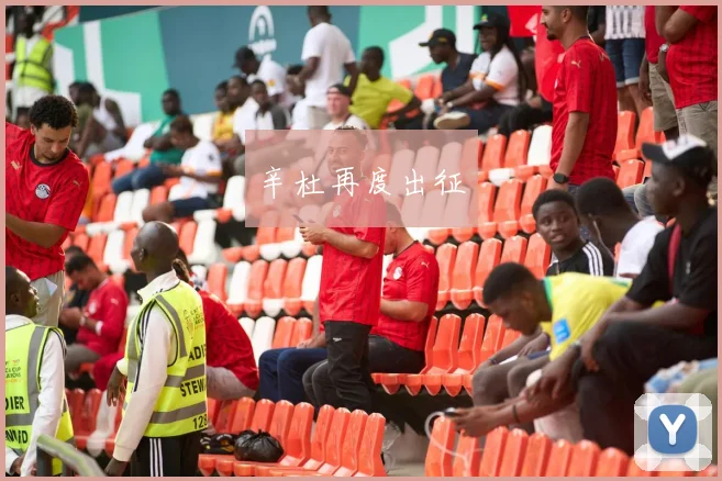 辛杜再度出征