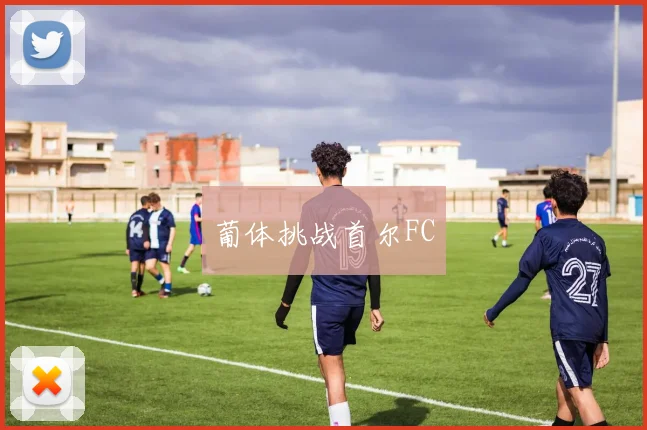 葡体挑战首尔FC