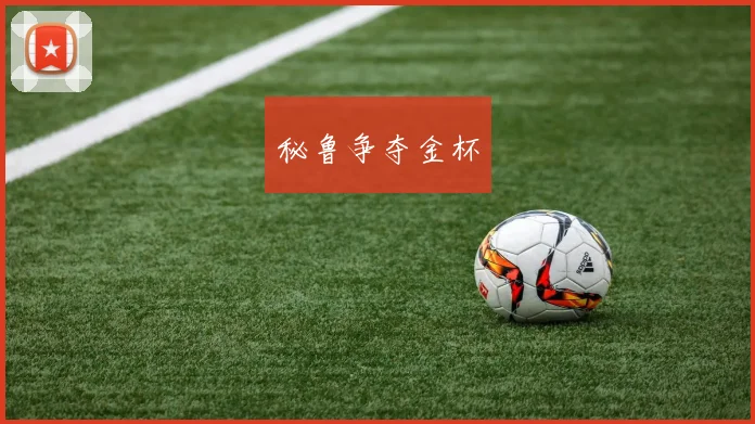 秘鲁争夺金杯