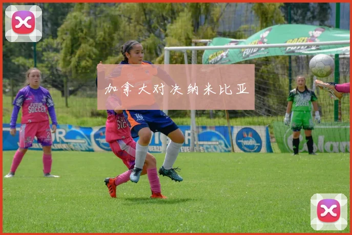 加拿大对决纳米比亚