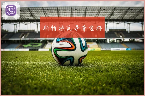 科特迪瓦争夺金杯