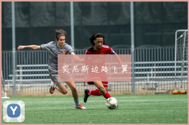 突尼斯边路飞翼