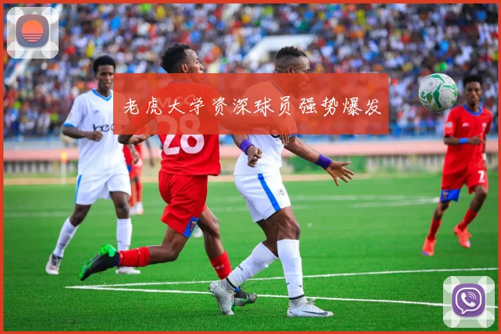 老虎大学资深球员强势爆发