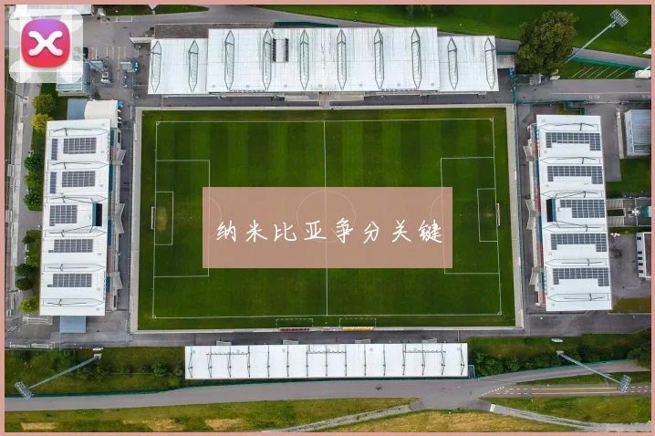 纳米比亚争分关键
