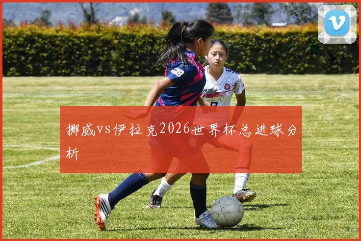 挪威vs伊拉克2026世界杯总进球分析