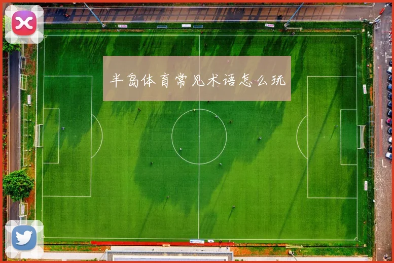半岛体育常见术语怎么玩