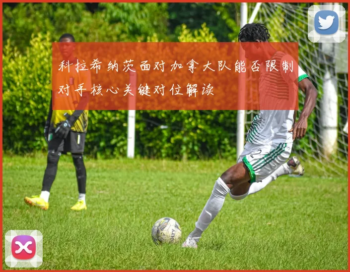 科拉希纳茨面对加拿大队能否限制对手核心关键对位解读